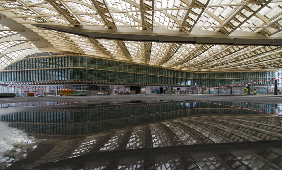 The Canopy Architectuul